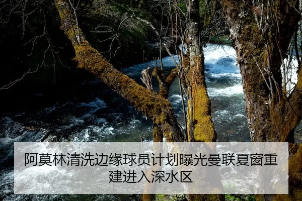 阿莫林清洗边缘球员计划曝光曼联夏窗重建进入深水区